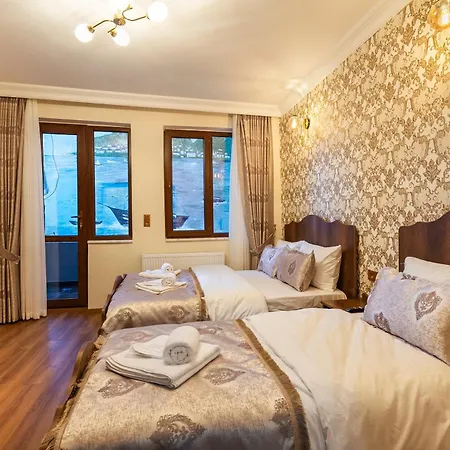 Nasip House 3* Provincia di Istanbul