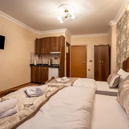 Nasip House 3* Provincia di Istanbul